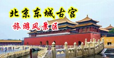 亚洲孕妇中出中国北京-东城古宫旅游风景区